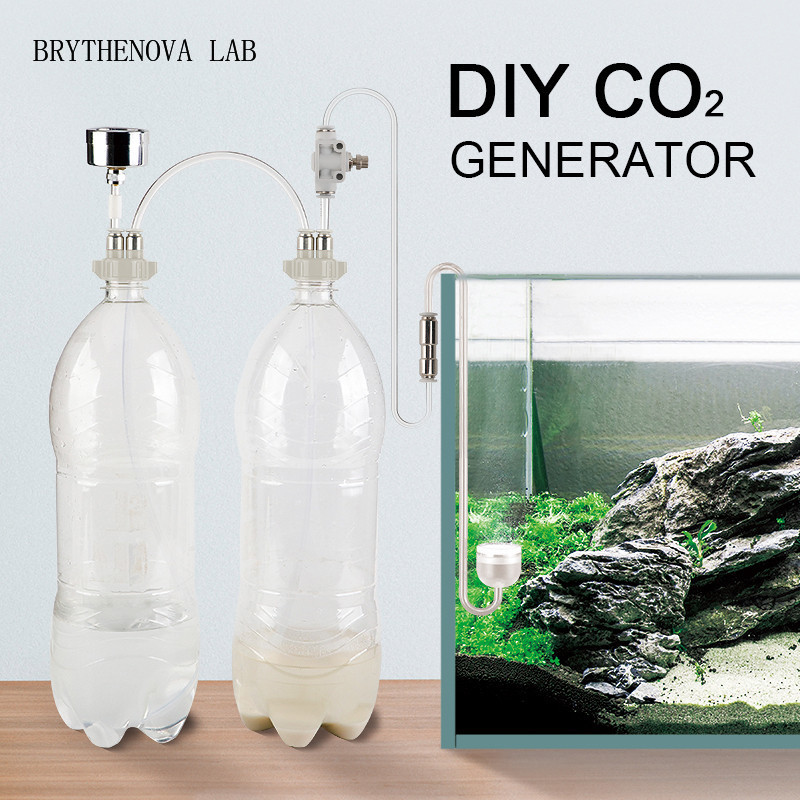 Aquarium Plant Delivery - CO2 Generator Aquarium Planted Tank CO2
