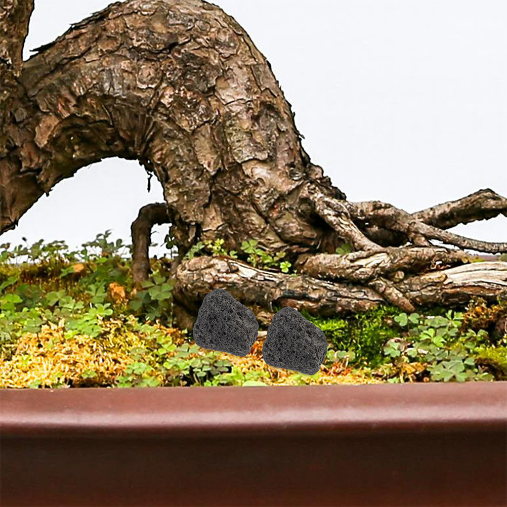 Planted Aquarium With Rocks - Fish Tank Volcanic Rocks Natural Small
