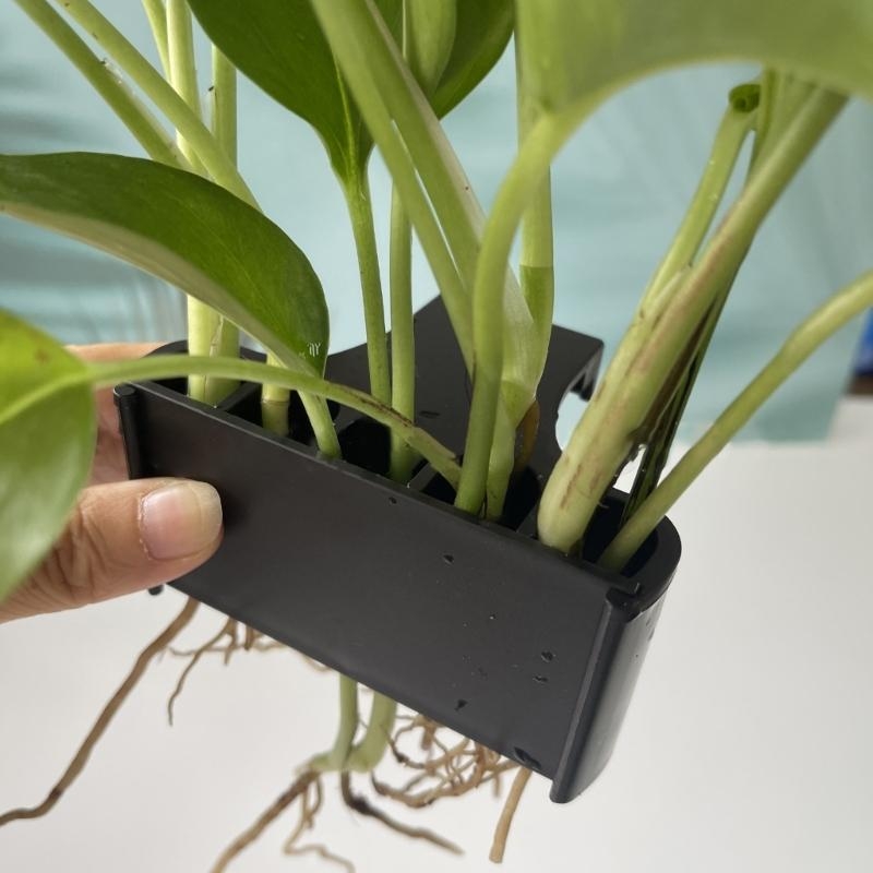 Emersed Plants Aquarium - Aquatic Plant Cup Aquatic Plant Pot