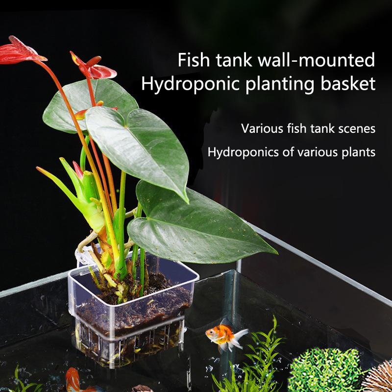 Emersed Plants Aquarium - Hollow Wall Mount Aquarium Plant Cup,