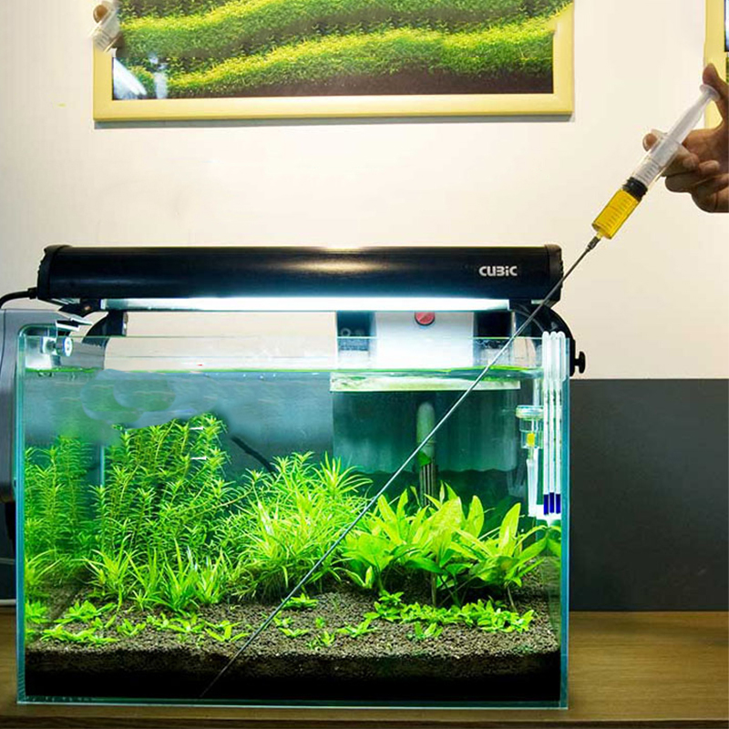 Aquarium Plant Growth - 30cm 50cm Aquarium Plants Growth Heathy
