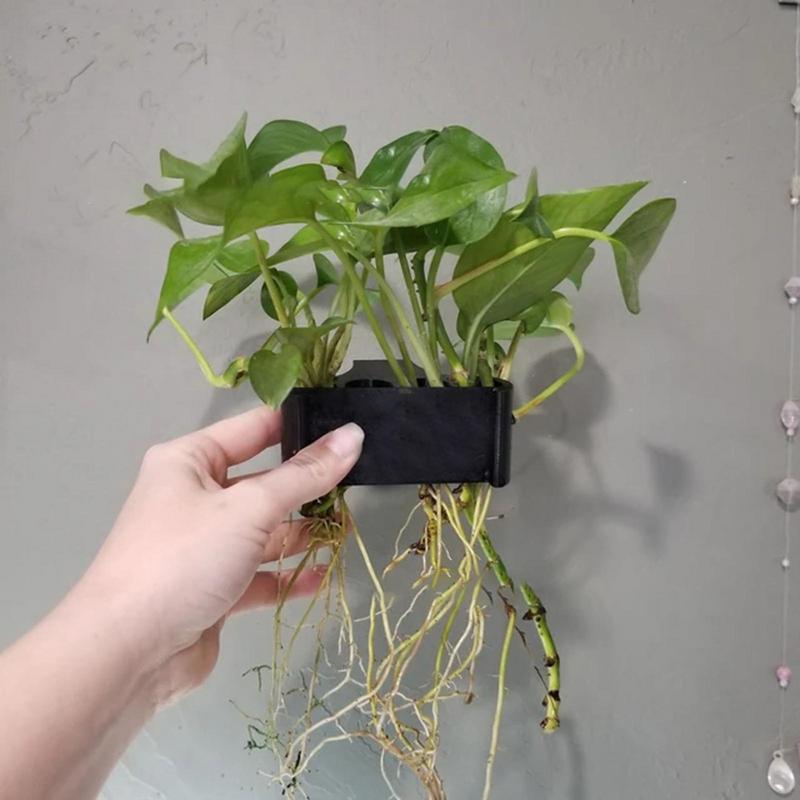 Emersed Plants Aquarium - Hanging Aquarium Plant Holder Aquatic Plant