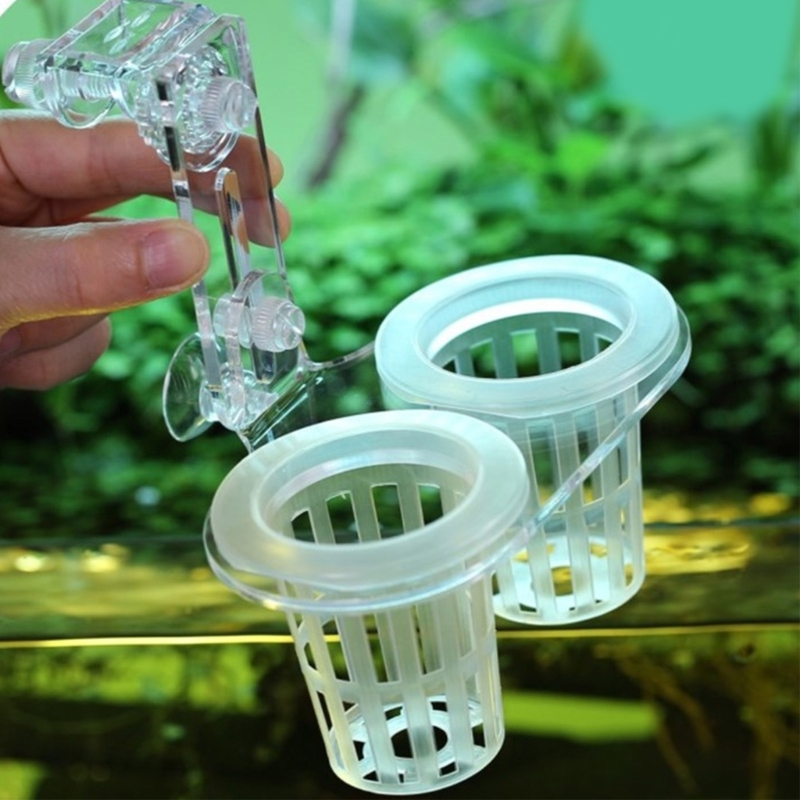 Emersed Plants Aquarium - Aquariums Plant Stand Plant Cultivation with