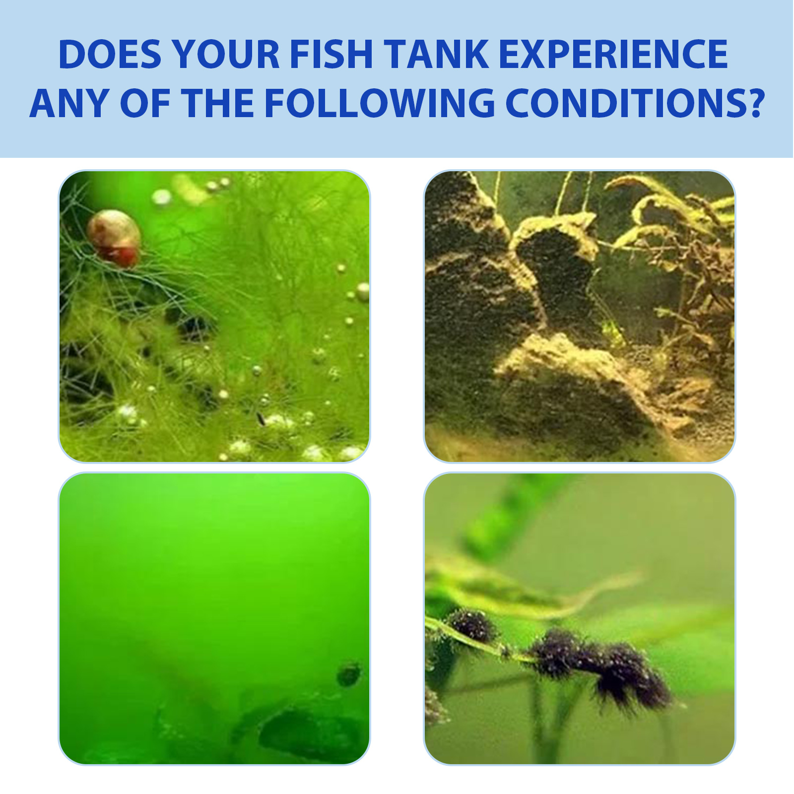 Biological Aquarium Algae Cont - Planted Aquarium Algae Control recension och pris