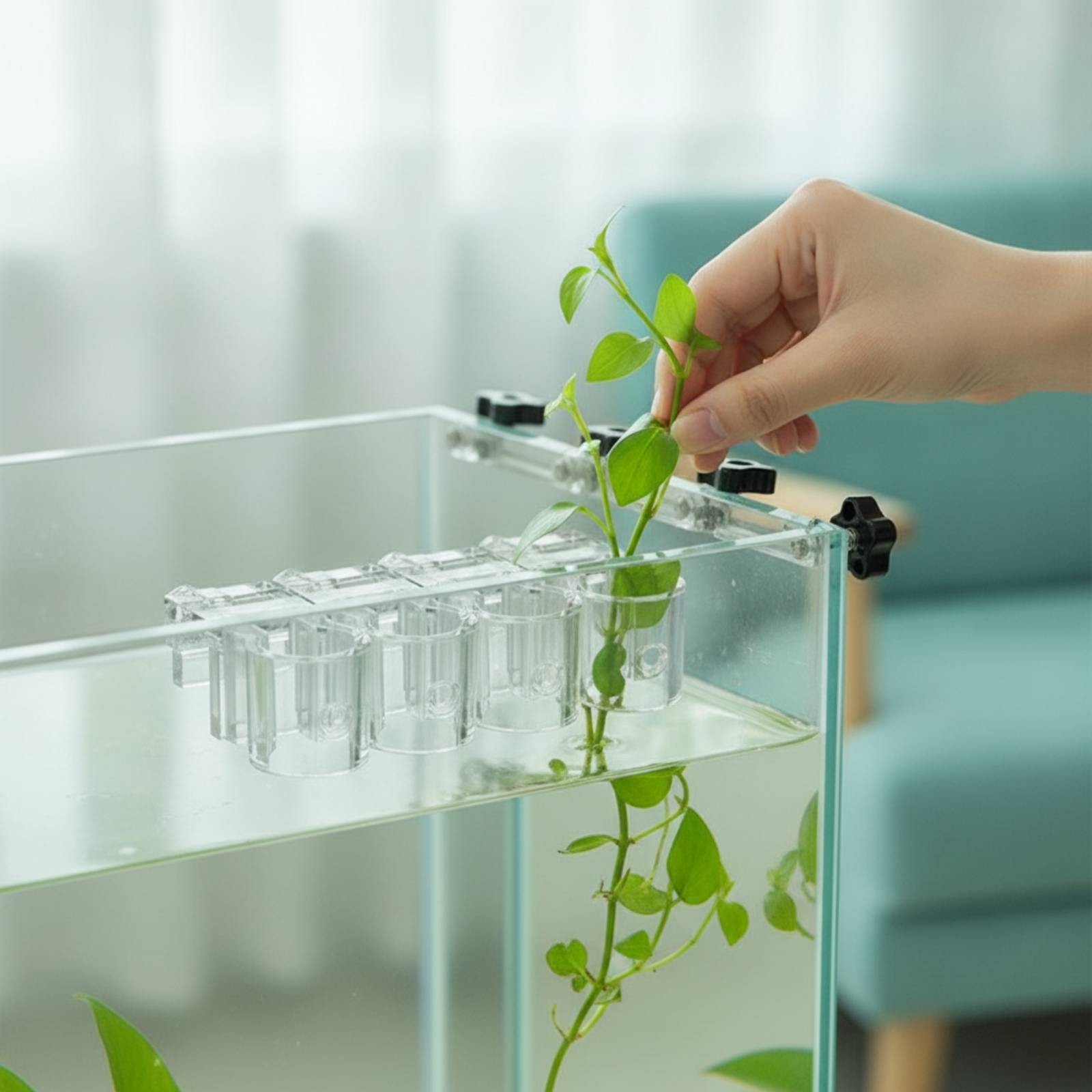 6 Pieces Aquarium Planter Clea - Aquarium Planted recension och pris