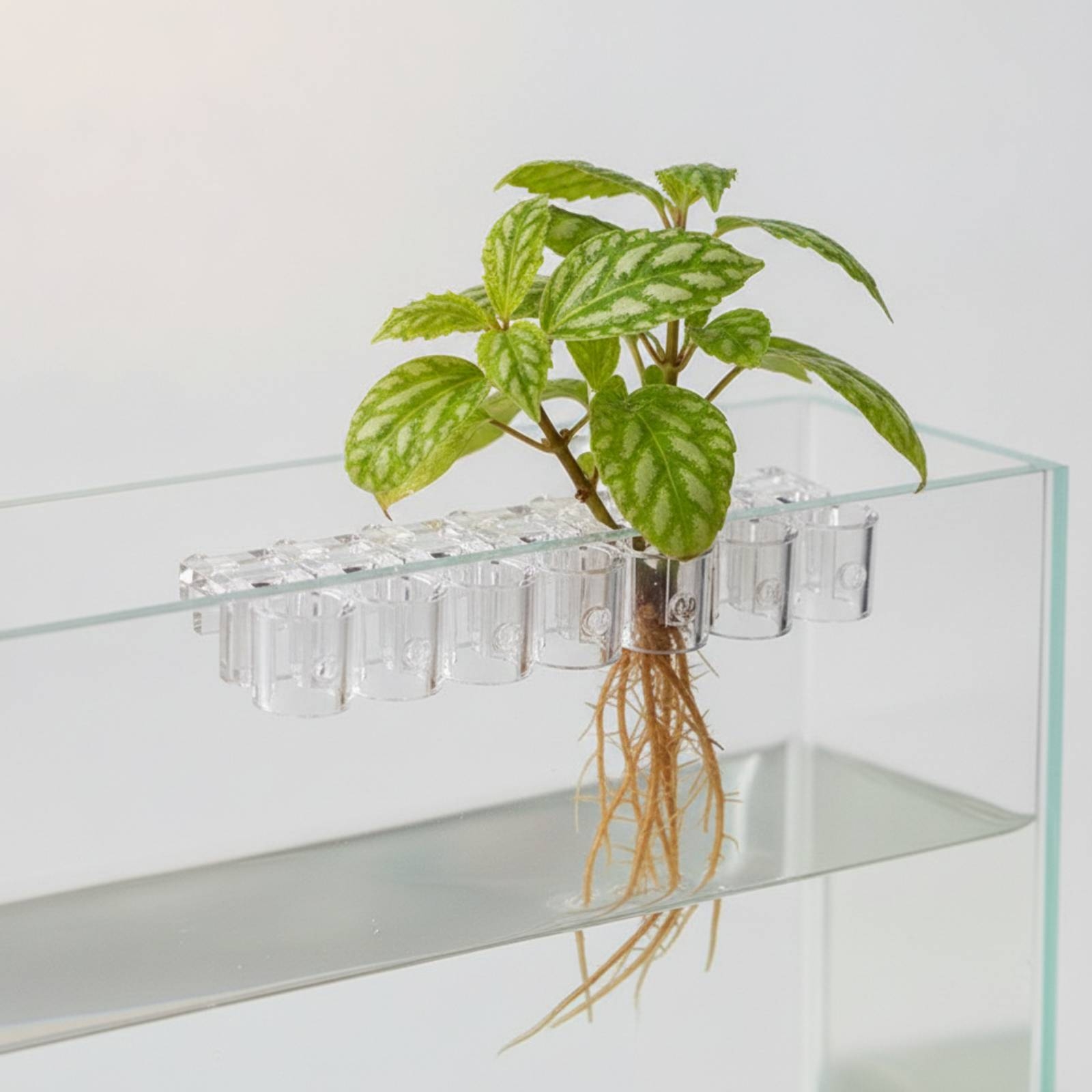 6 Pieces Aquarium Planter Clea - Aquarium Planted recension och pris