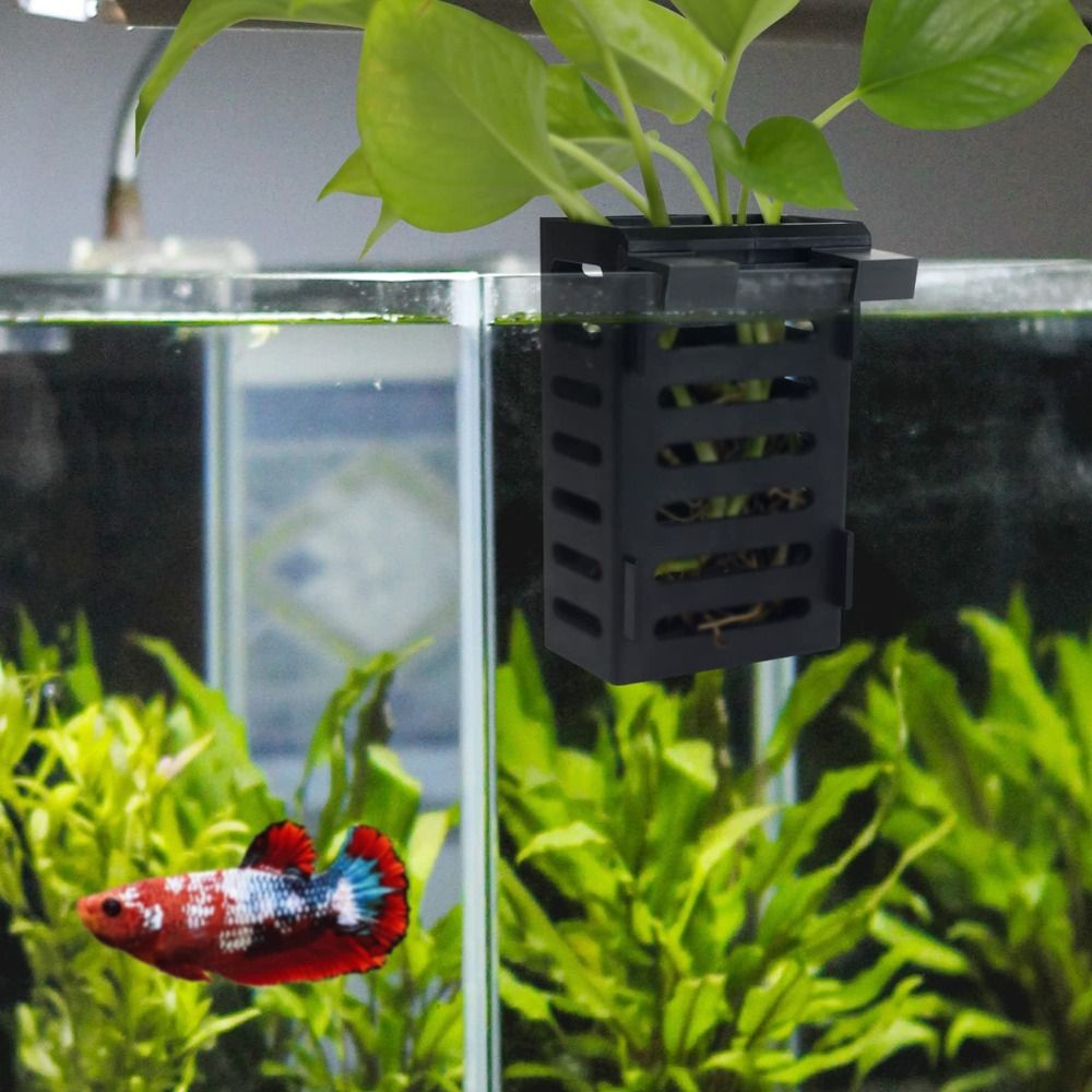 Water Plant Landscape Aquarium - Emersed Plants Aquarium recension och pris