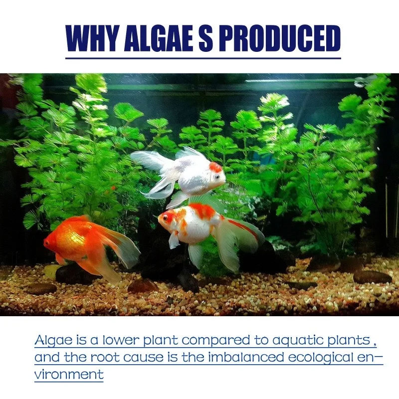 50g High Efficiency Algaecide  - Aquarium Plant Delivery recension och pris