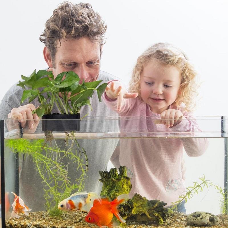 Hanging Aquarium Plant Holder  - Emersed Plants Aquarium recension och pris