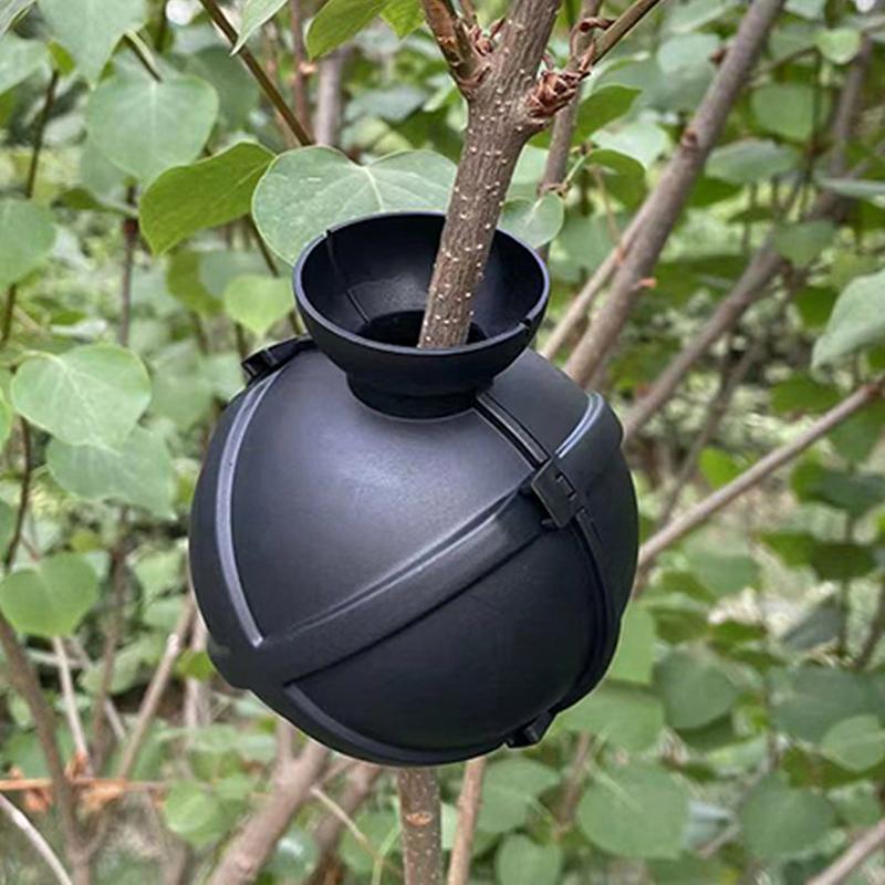 Propagation Ball Air Layering  - Aquasoil Substrate recension och pris
