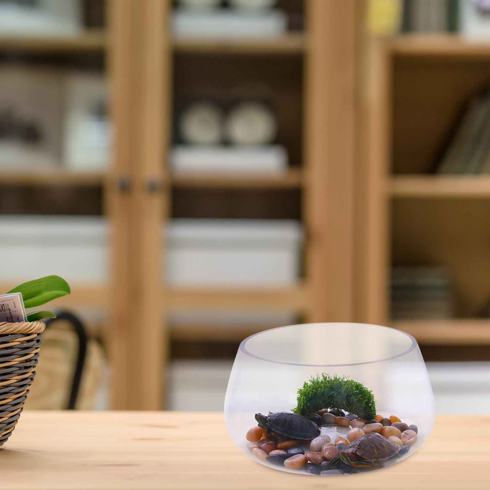Small Round Clear Glass Fish B - Aquarium Planted Shop recension och pris
