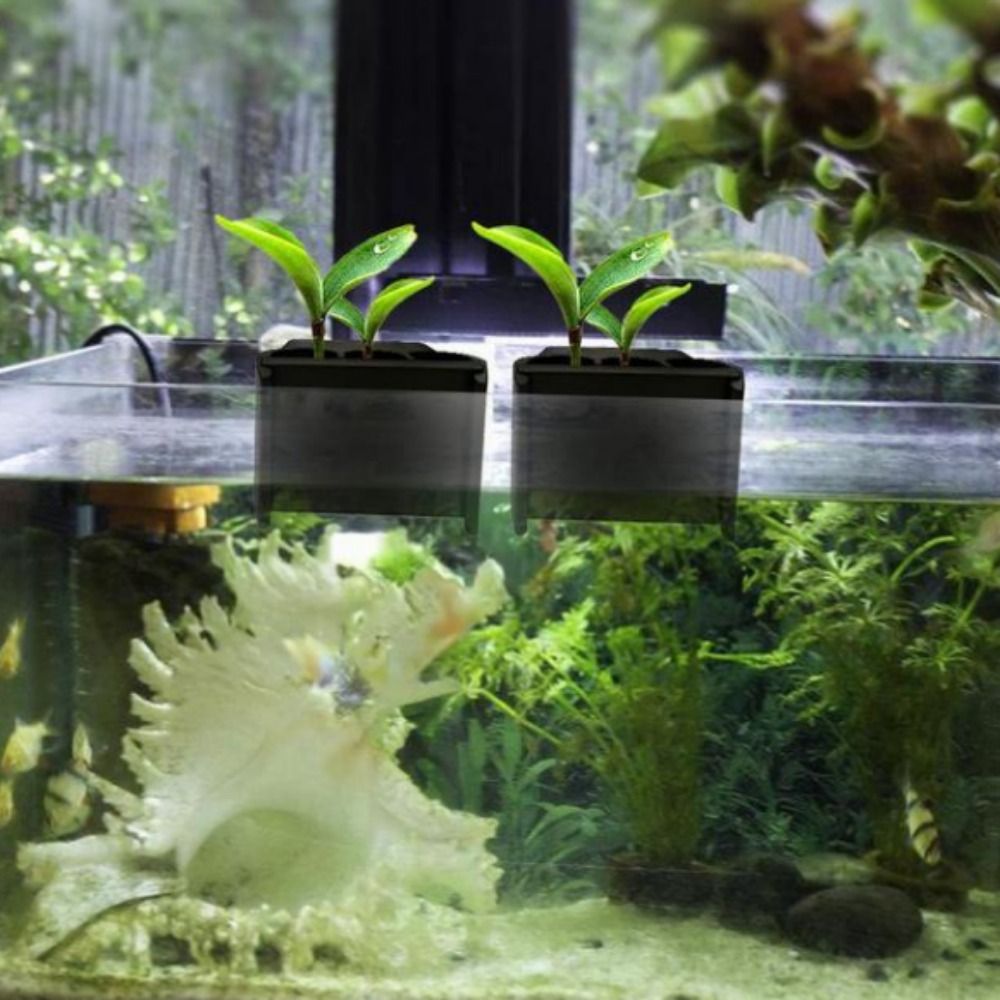 With Integrated Hook Aquarium  - Emersed Plants Aquarium recension och pris