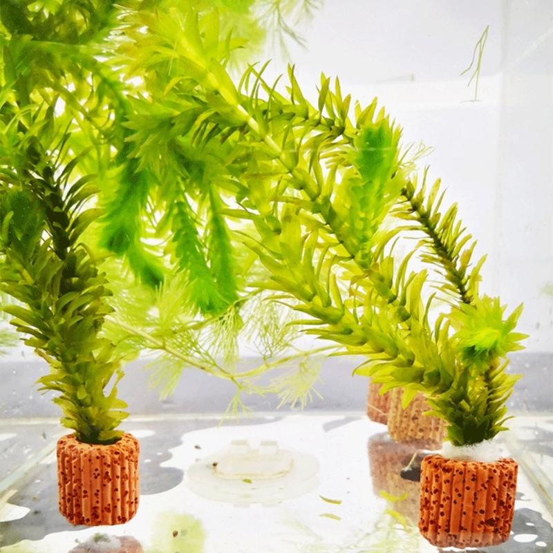 QX2E Paottery Aquariums Plant  - Emersed Plants Aquarium recension och pris