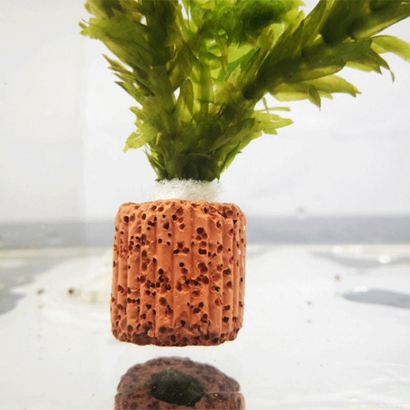 QX2E Paottery Aquariums Plant  - Emersed Plants Aquarium recension och pris