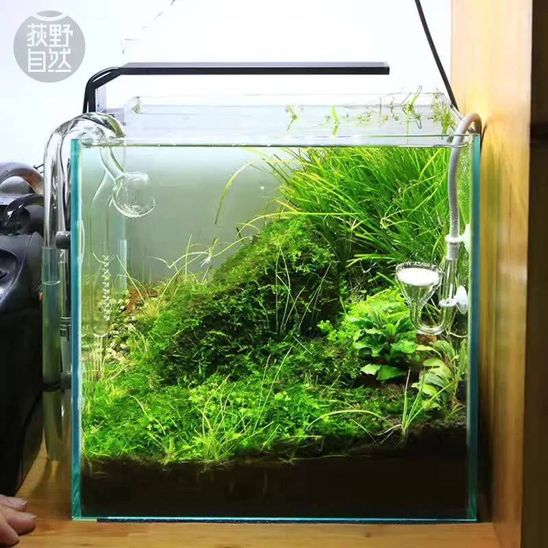 Chihiros C Series ADA Style Pl - Aquarium Plant Growth recension och pris