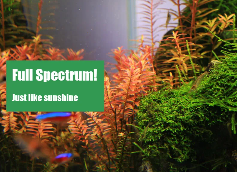 Chihiros C Series ADA Style Pl - Aquarium Plant Growth recension och pris