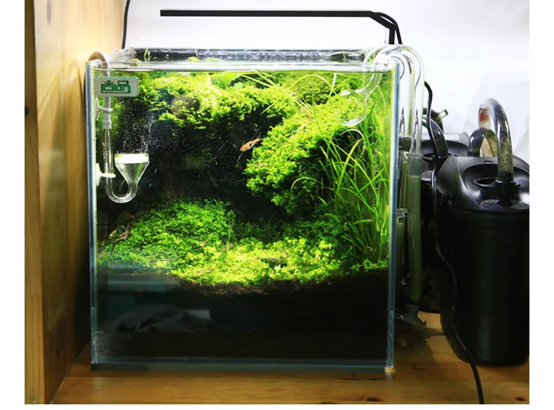 Chihiros C Series ADA Style Pl - Aquarium Plant Growth recension och pris
