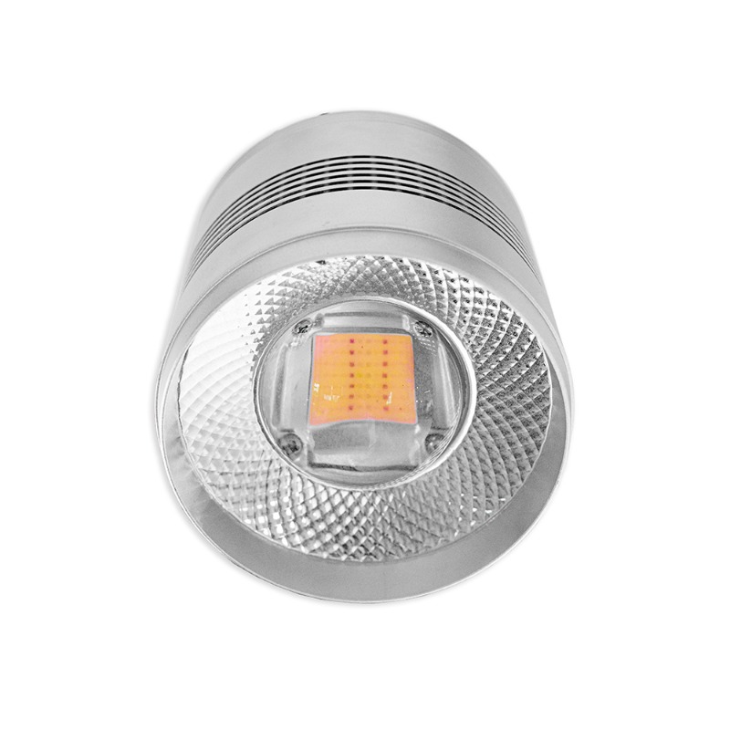 70W LED Aquarium Light for Fre - Planted Aquarium Algae Control recension och pris