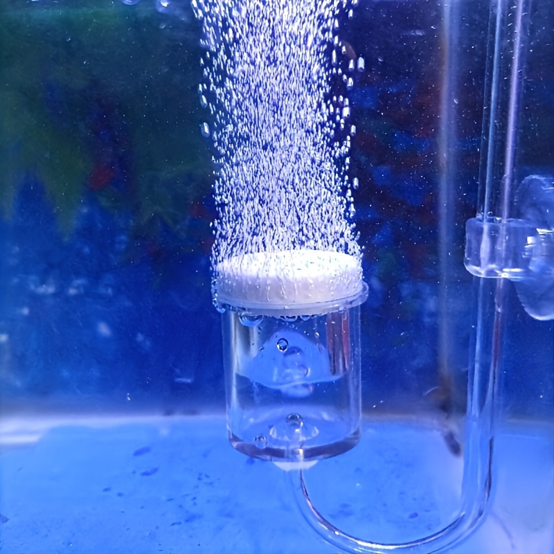 Aquarium Glass CO2 Atomizer Di - Aquarium Plant Delivery recension och pris