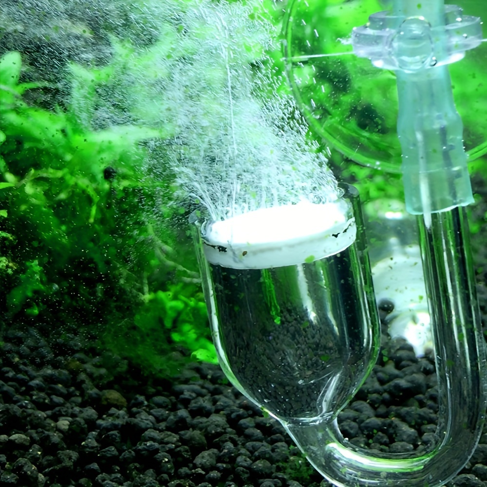 Aquarium Glass CO2 Atomizer Di - Aquarium Plant Delivery recension och pris
