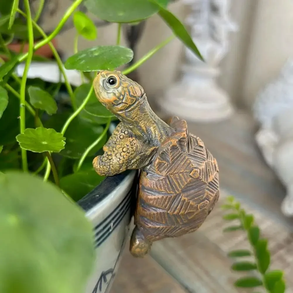 Fishing Turtle Hanging Turtle  - Aquarium Planted recension och pris