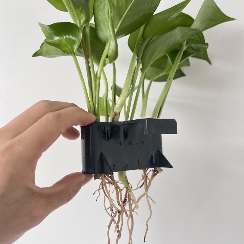 Aquatic Plant Cup Aquatic Plan - Emersed Plants Aquarium recension och pris