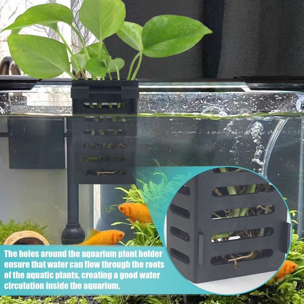 Hydroponic Aquarium Glass Plan - Emersed Plants Aquarium recension och pris