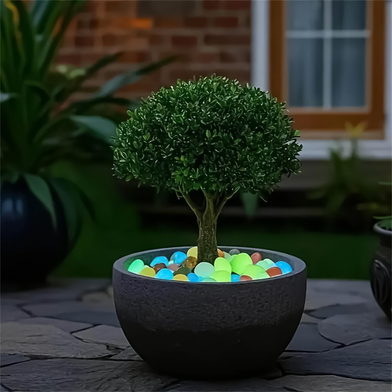Landscaping Rocks 20 Pieces 1. - Planted Aquarium With Rocks recension och pris