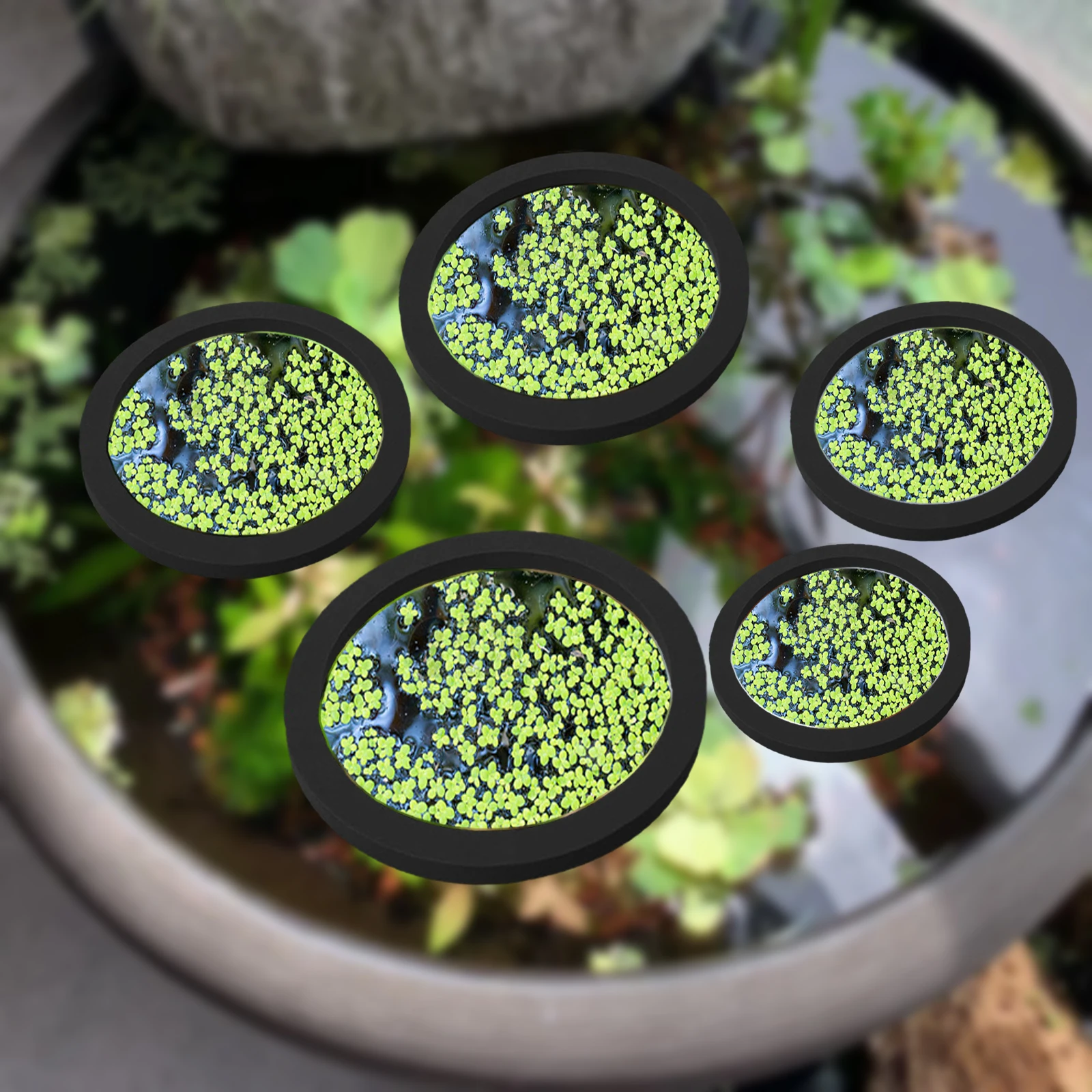 5Pcs EVA Fish Feeding Ring Aqu - Aquarium Planted recension och pris