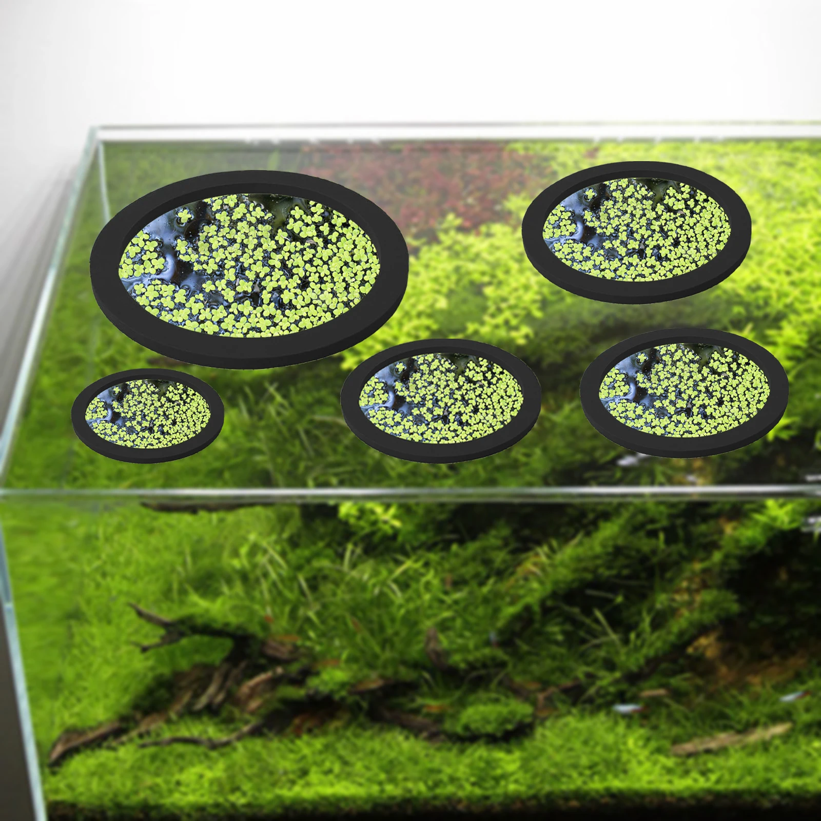5Pcs EVA Fish Feeding Ring Aqu - Aquarium Planted recension och pris