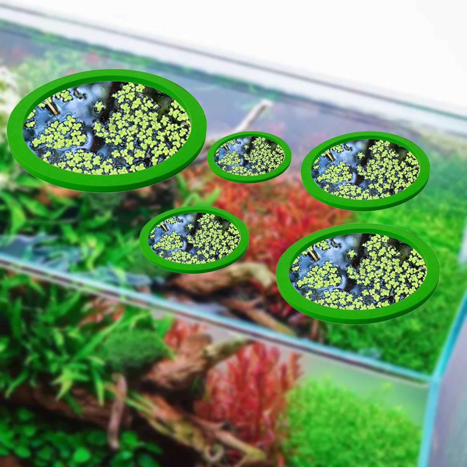 5Pcs EVA Fish Feeding Ring Aqu - Aquarium Planted recension och pris