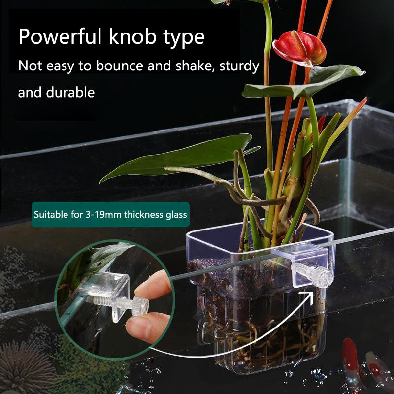 Hollow Wall Mount Aquarium Pla - Emersed Plants Aquarium recension och pris