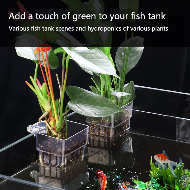 Hollow Wall Mount Aquarium Pla - Emersed Plants Aquarium recension och pris