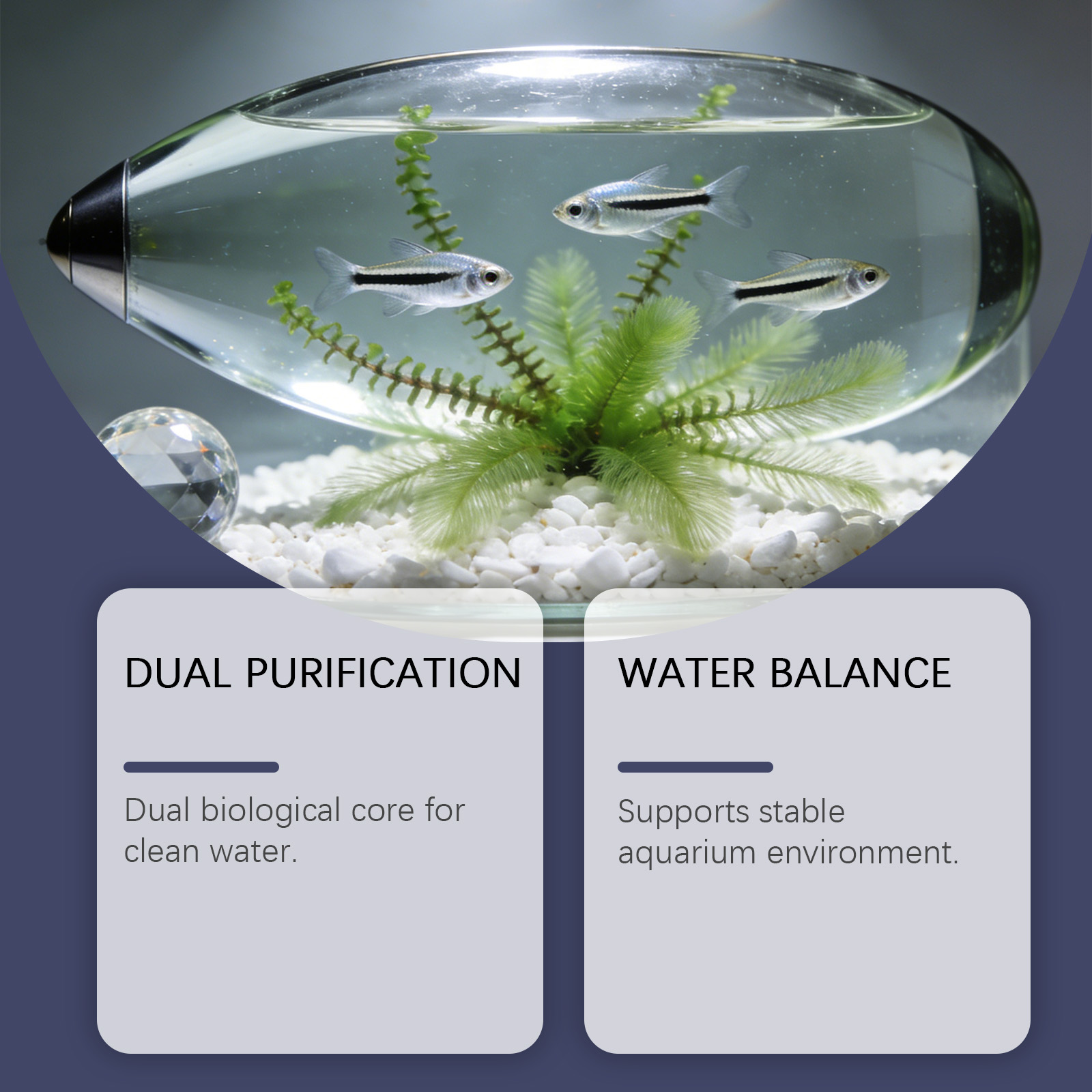 Algae Remover Tablets for Aqua - Planted Aquarium Algae Control recension och pris