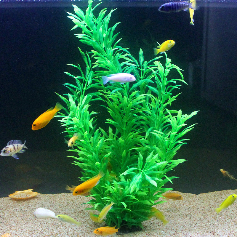 50CM Artificial Fish Tank Rare - Aquarium Plant Delivery recension och pris