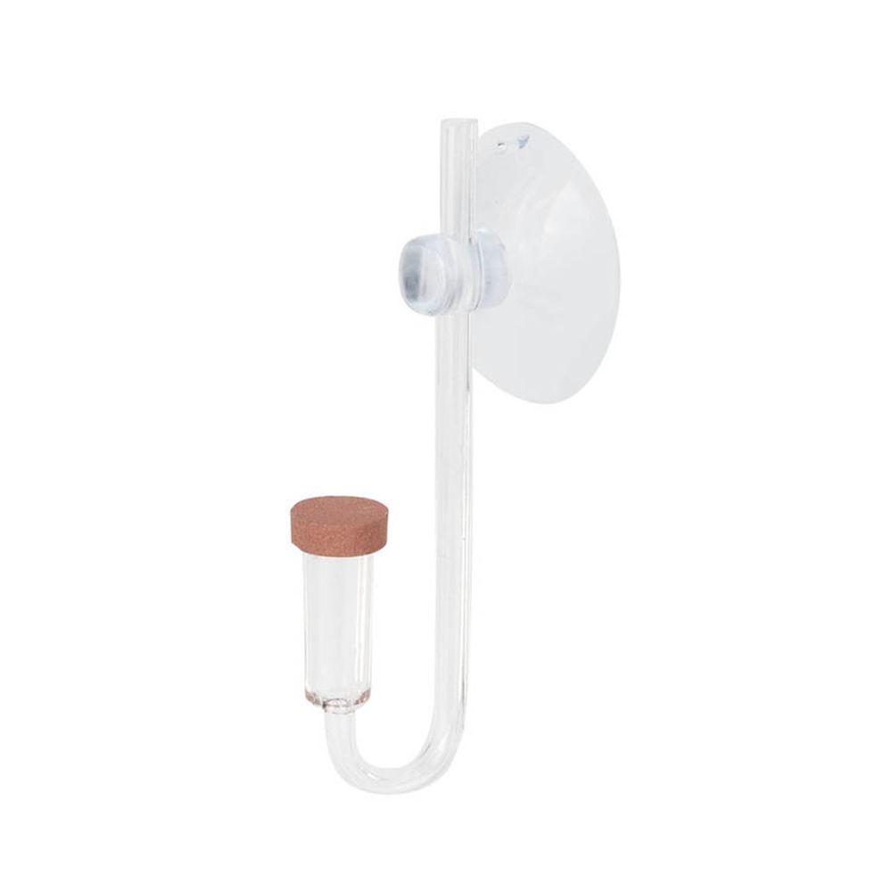 Acrylic Mini Fish Tank Live Pl - Aquarium Plant Delivery recension och pris