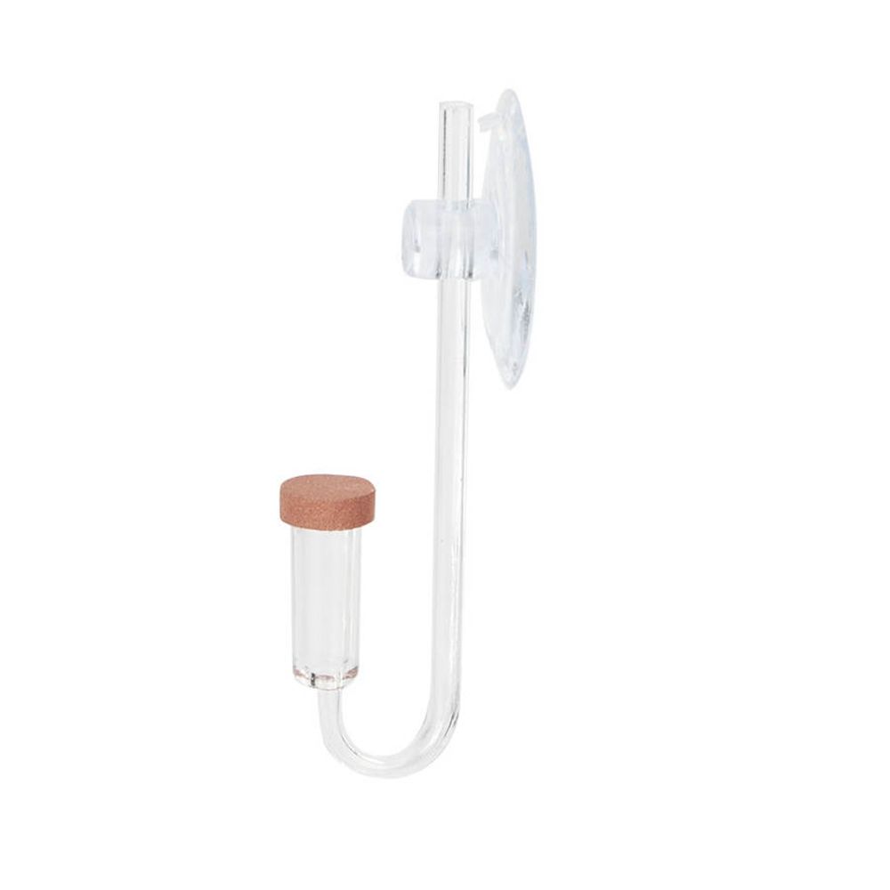 Acrylic Mini Fish Tank Live Pl - Aquarium Plant Delivery recension och pris