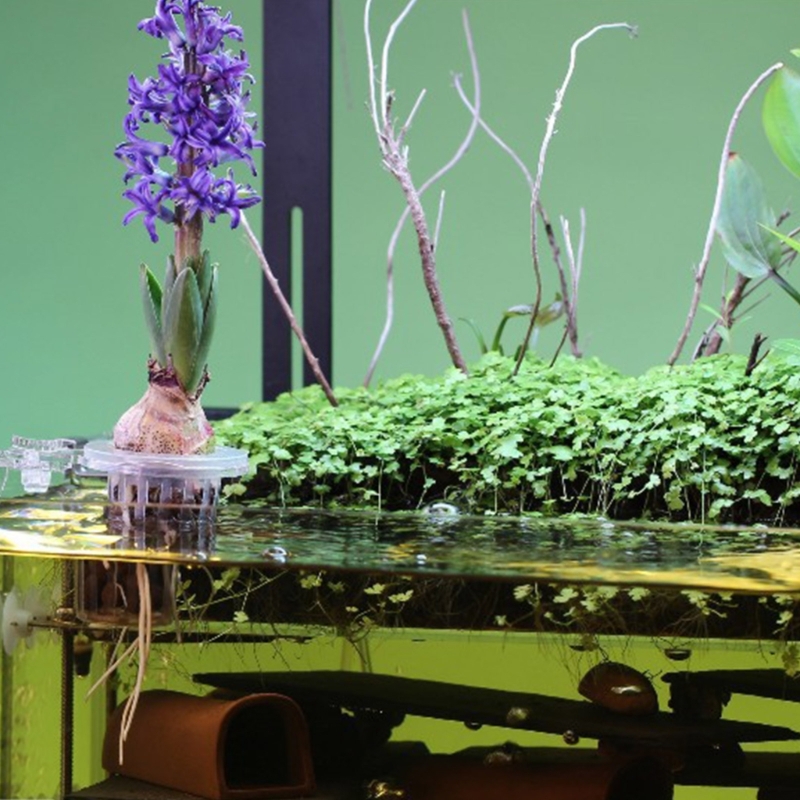 Aquariums Plant Stand Plant Cu - Emersed Plants Aquarium recension och pris