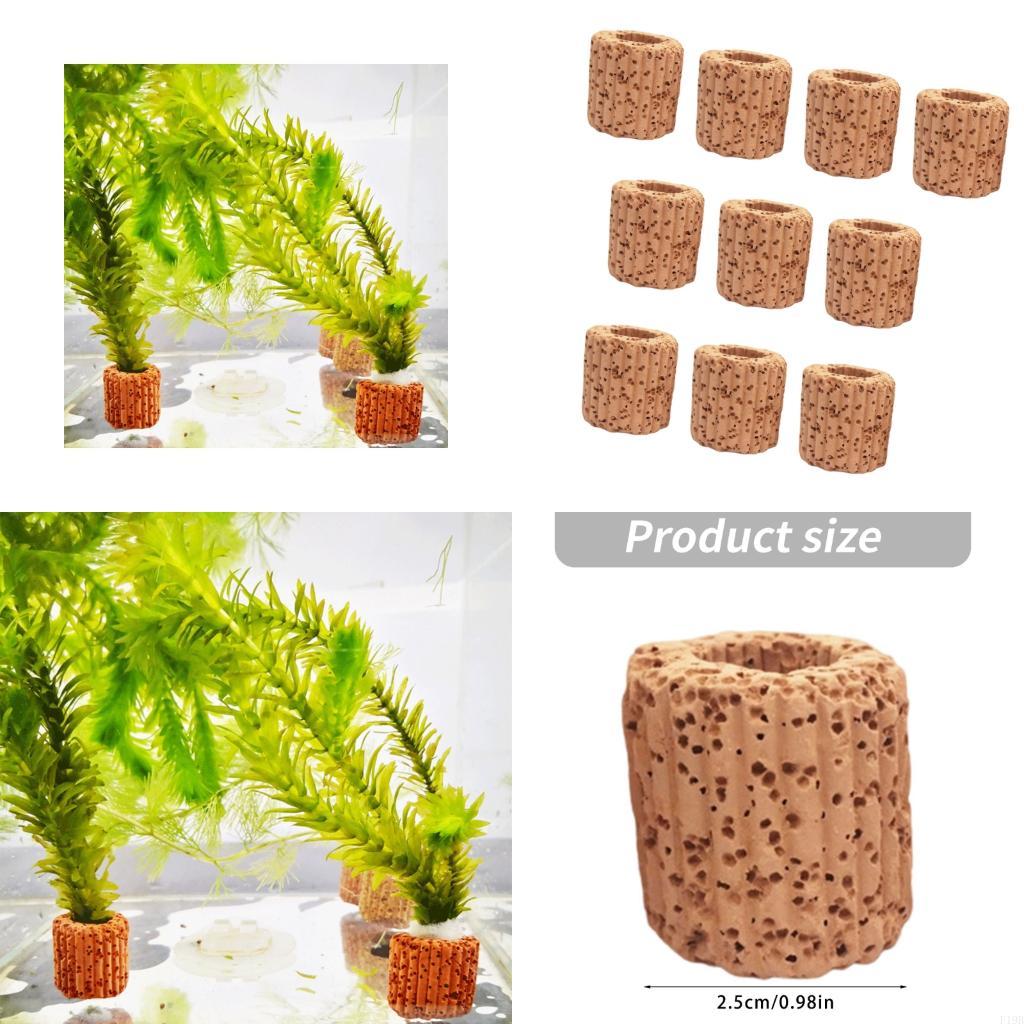 F19B Paottery Aquariums Plant  - Emersed Plants Aquarium recension och pris